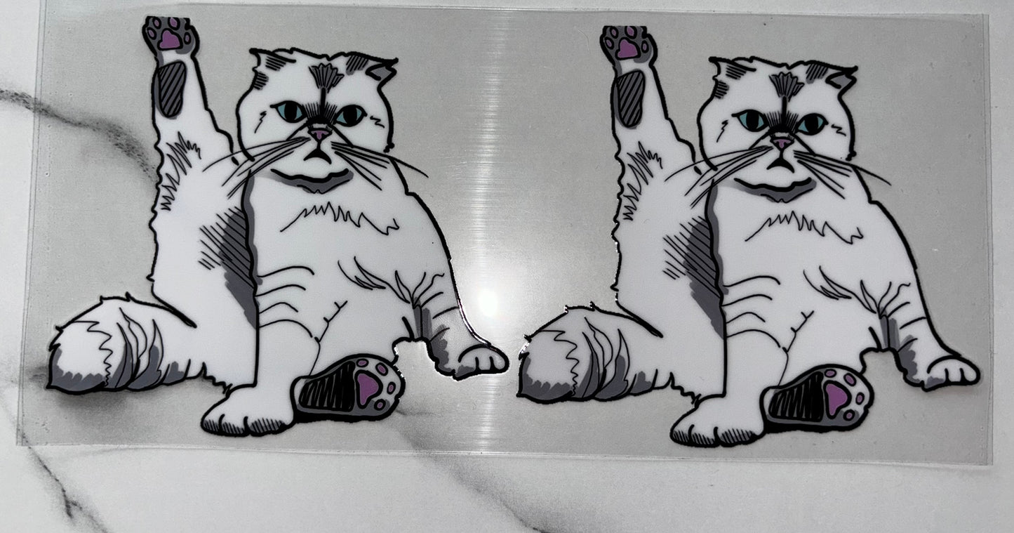 White cat