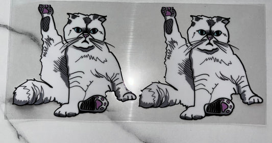 White cat